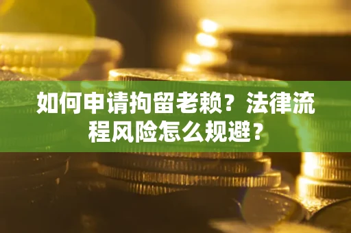 武汉如何申请拘留老赖？法律流程风险怎么规避？