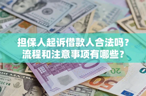 武汉担保人起诉借款人合法吗？流程和注意事项有哪些？