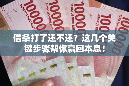 武汉借条打了还不还？这几个关键步骤帮你赢回本息！