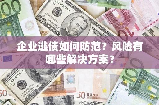 武汉企业逃债如何防范？风险有哪些解决方案？