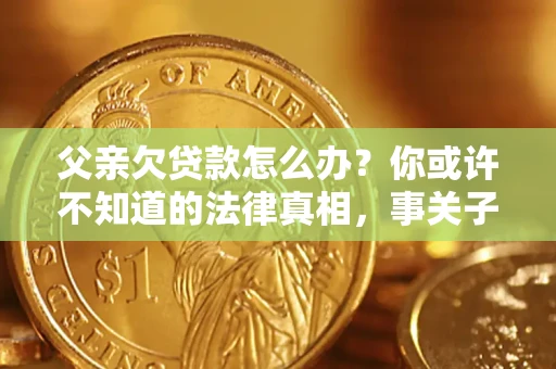 武汉父亲欠贷款怎么办？你或许不知道的法律真相，事关子女未来