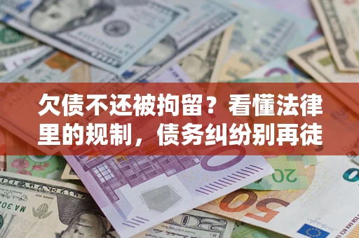 武汉欠债不还被拘留？看懂法律里的规制，债务纠纷别再徒劳奔波