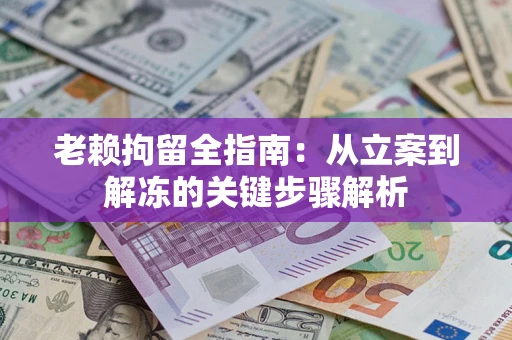 武汉老赖拘留全指南：从立案到解冻的关键步骤解析