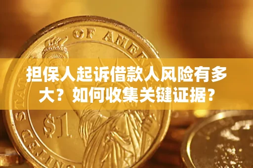 武汉担保人起诉借款人风险有多大？如何收集关键证据？