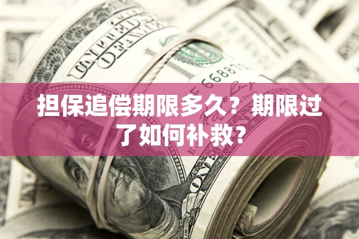 武汉担保追偿期限多久？期限过了如何补救？