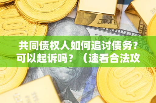 武汉共同债权人如何追讨债务？可以起诉吗？（速看合法攻略）