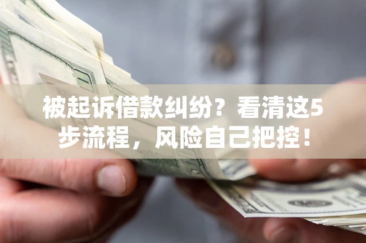 武汉被起诉借款纠纷？看清这5步流程，风险自己把控！