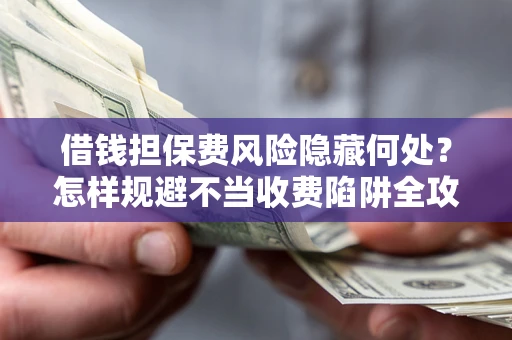武汉借钱担保费风险隐藏何处？怎样规避不当收费陷阱全攻略！